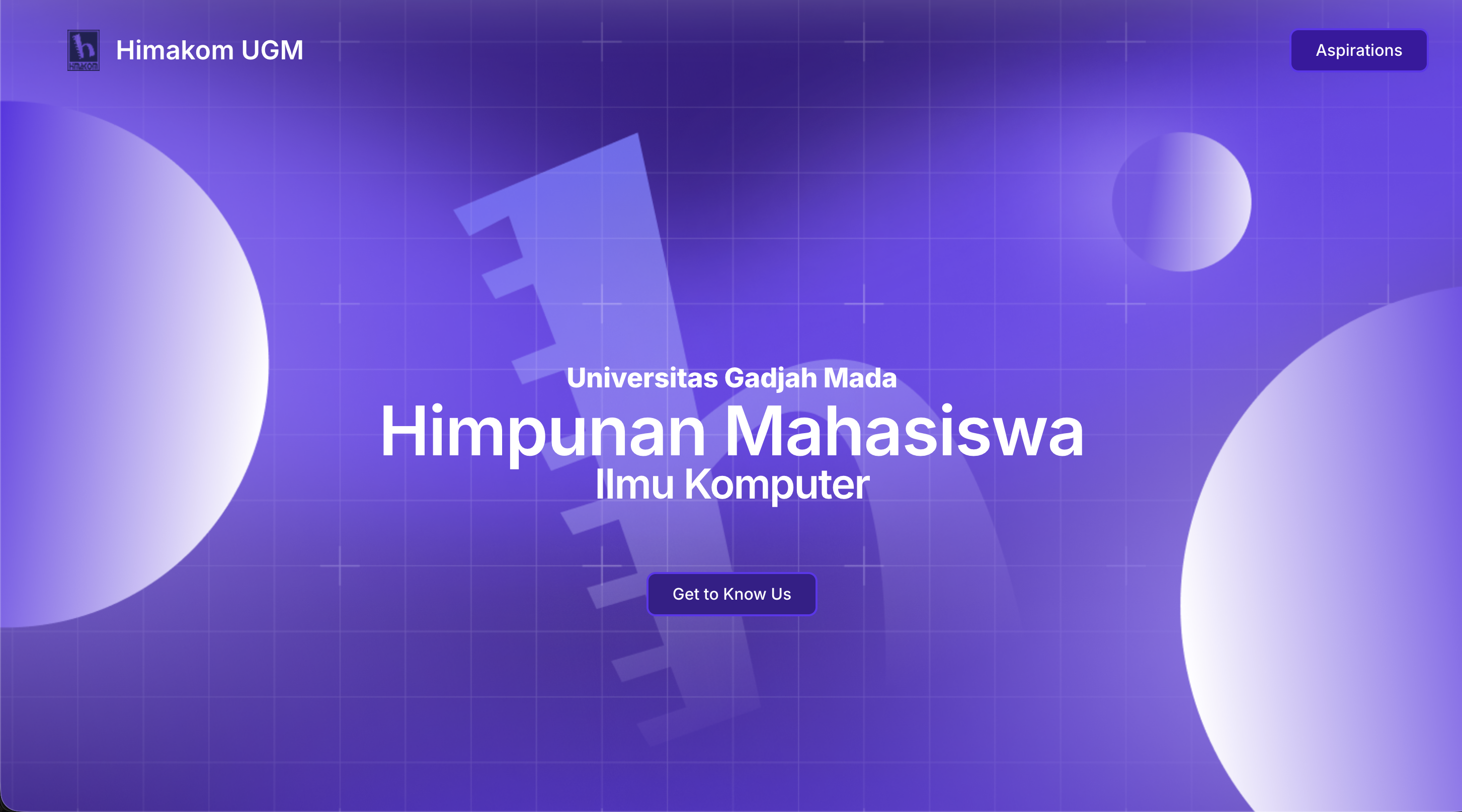 website preview